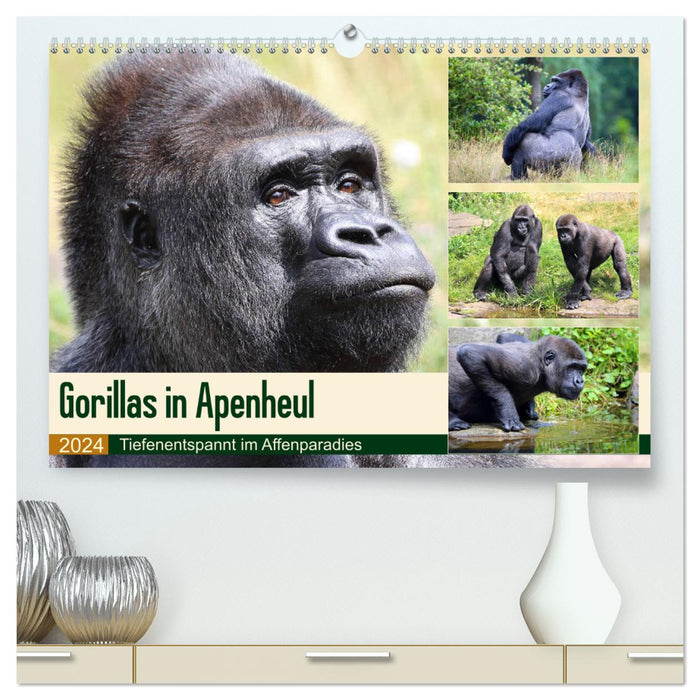 Flachlandgorillas in Apenheul (CALVENDO Premium Wandkalender 2024)