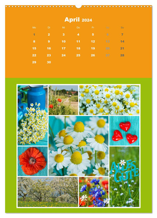 The colorful collage calendar (CALVENDO Premium Wall Calendar 2024) 