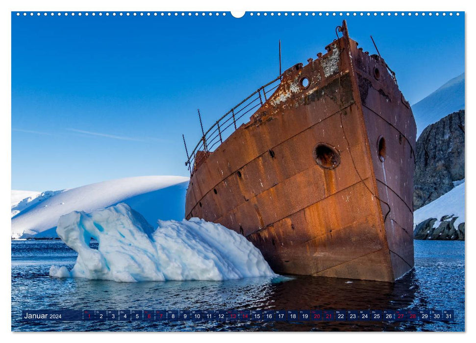 Antarctic glaciers, seals, penguins (CALVENDO Premium Wall Calendar 2024) 