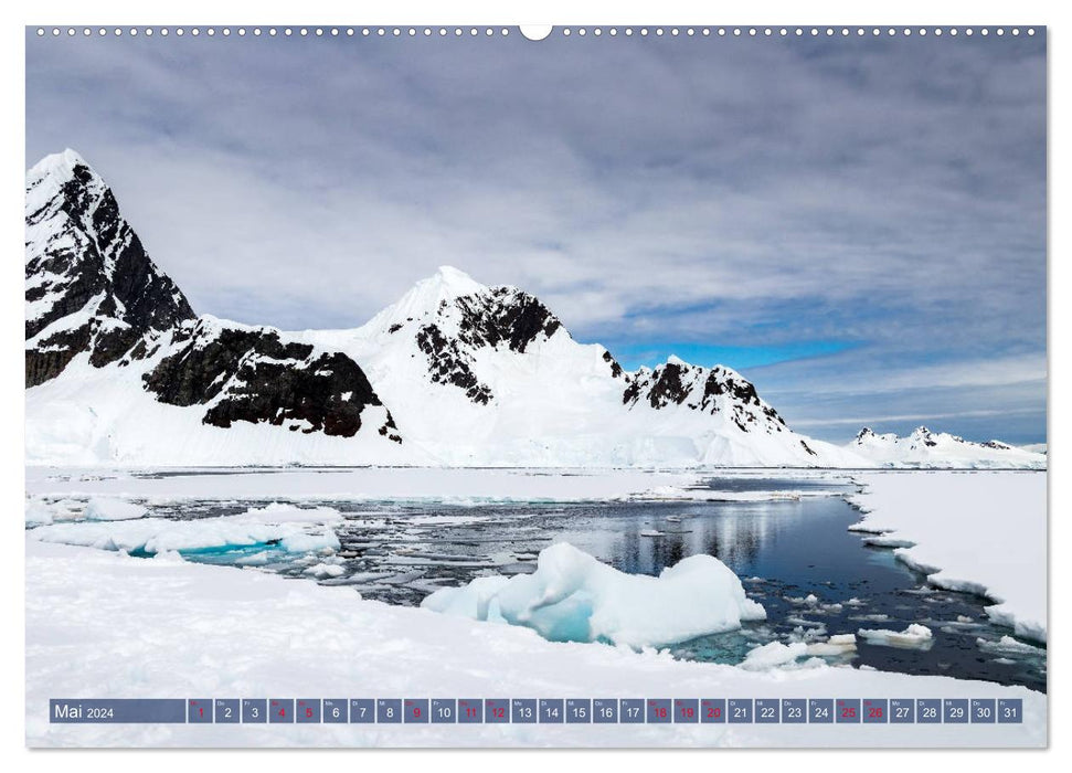 Glaciers de l'Antarctique, phoques, pingouins (Calendrier mural CALVENDO Premium 2024) 