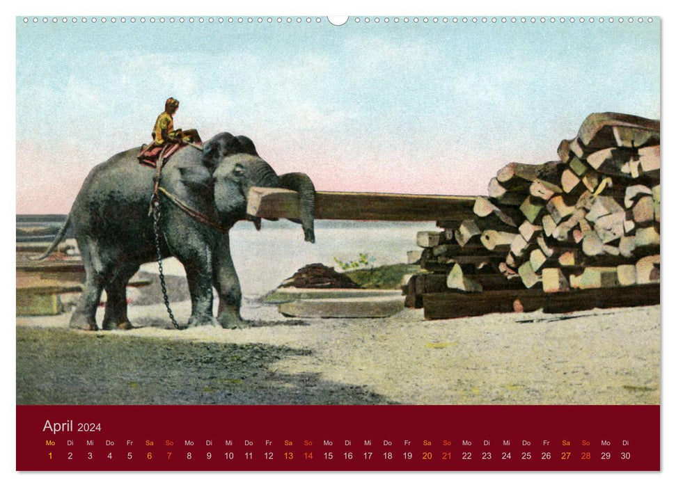 Altes Indien um 1900 (CALVENDO Premium Wandkalender 2024)