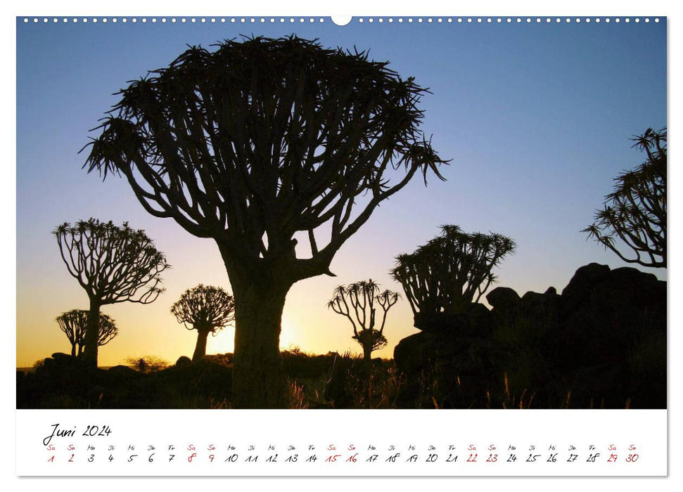 Namibia - Magie der Weite (CALVENDO Premium Wandkalender 2024)