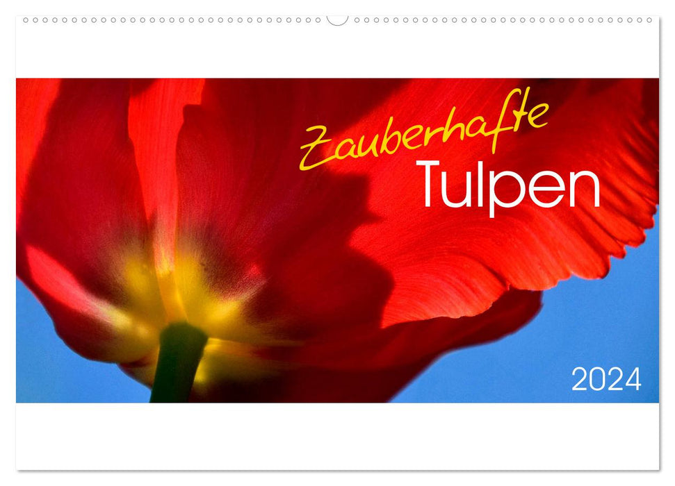 Tulipes magiques (Calendrier mural CALVENDO 2024) 