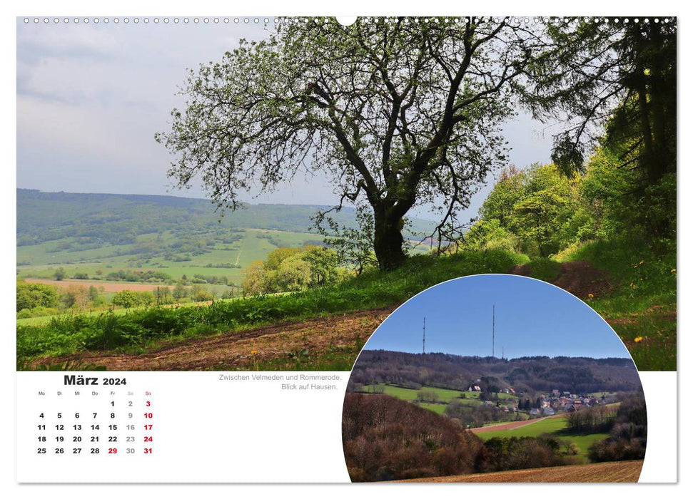 The Grimmsteig (CALVENDO wall calendar 2024) 