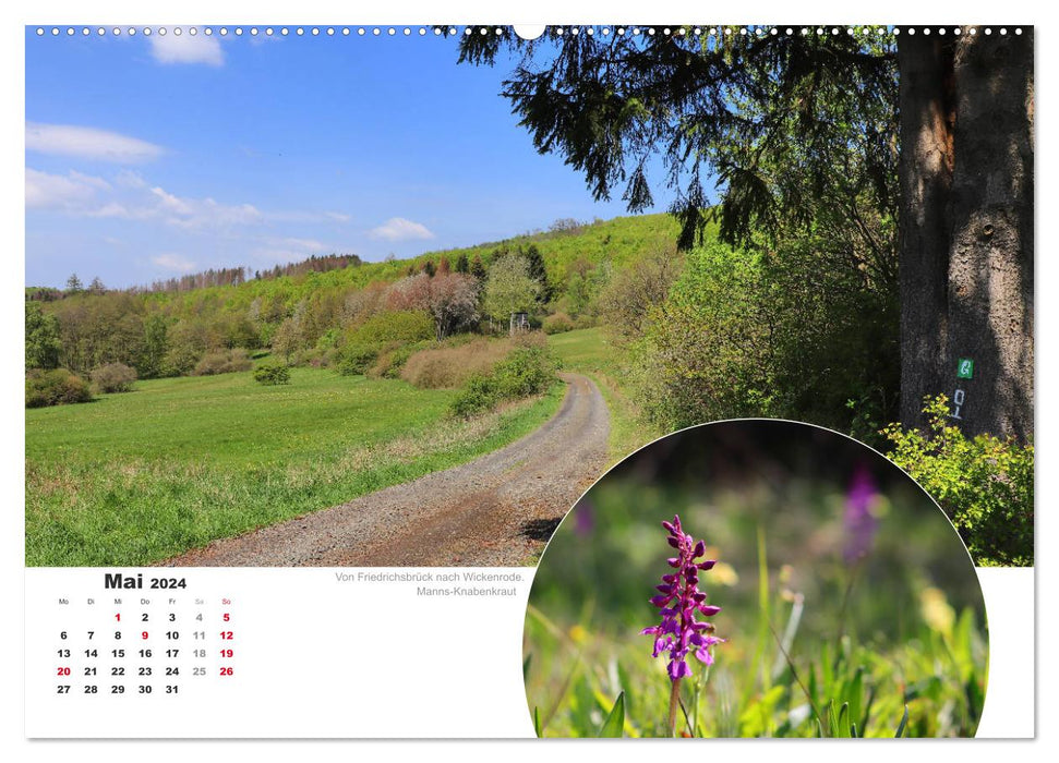 The Grimmsteig (CALVENDO wall calendar 2024) 