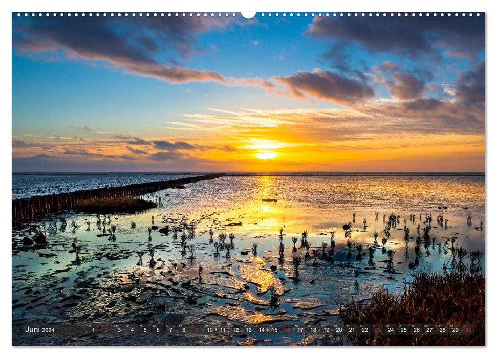 Farbspiele im Licht der Sonne (CALVENDO Premium Wandkalender 2024)