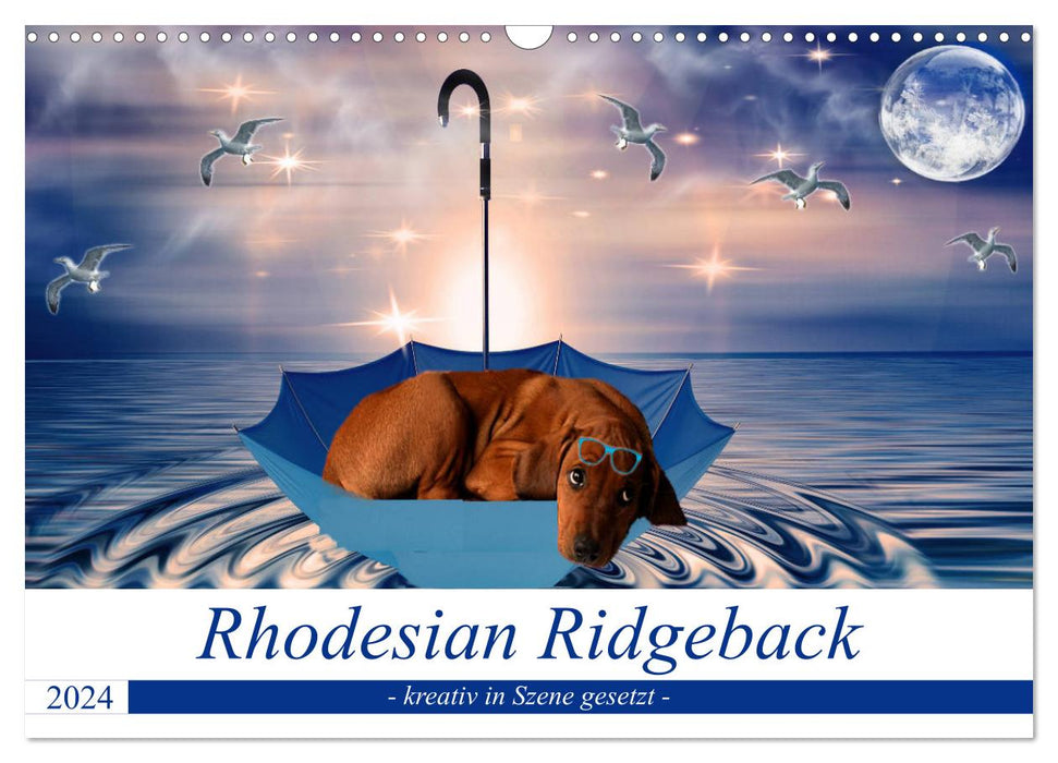 Rhodesian Ridgeback - kreativ in Szene gesetzt - (CALVENDO Wandkalender 2024)