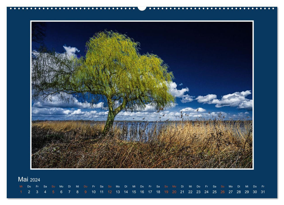 Ins Blaue.Variationen einer besonderen Farbe in norddeutscher Landschaft. (CALVENDO Premium Wandkalender 2024)