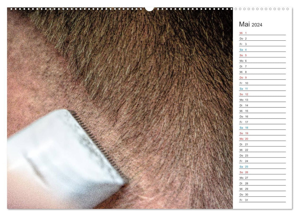 Unterwegs beim Friseur (CALVENDO Wandkalender 2024)