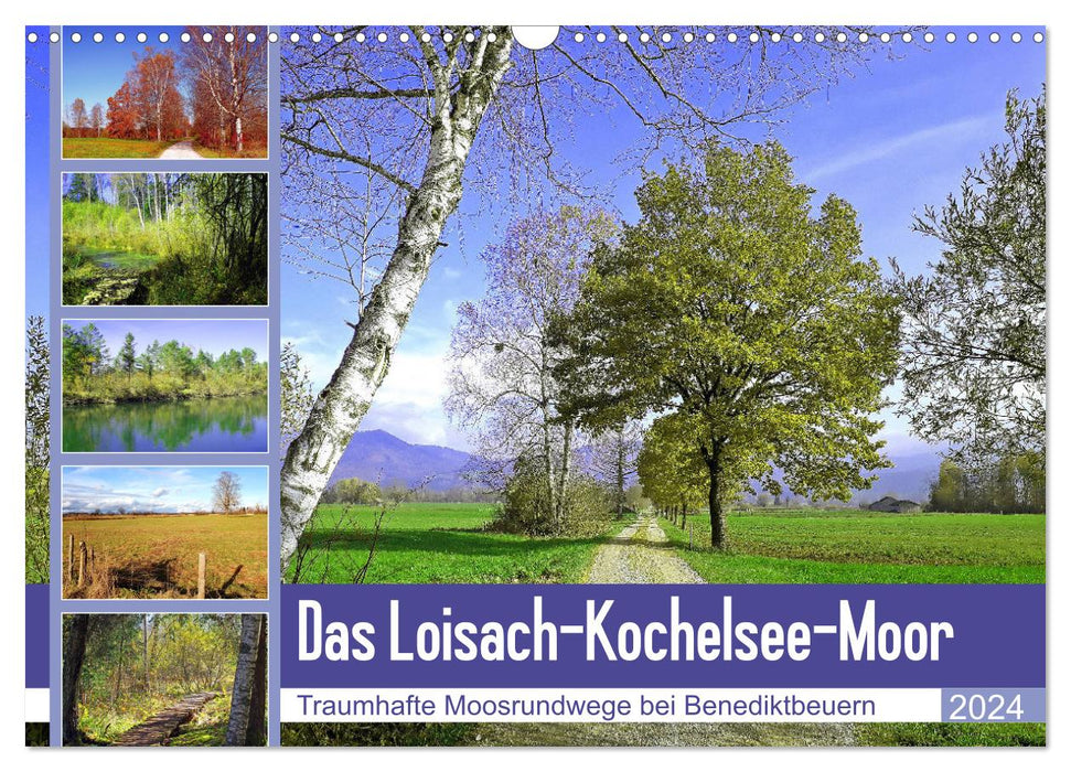 Le Loisach-Kochelsee Moor Fantastiques sentiers circulaires de mousse près de Benediktbeuern (calendrier mural CALVENDO 2024) 