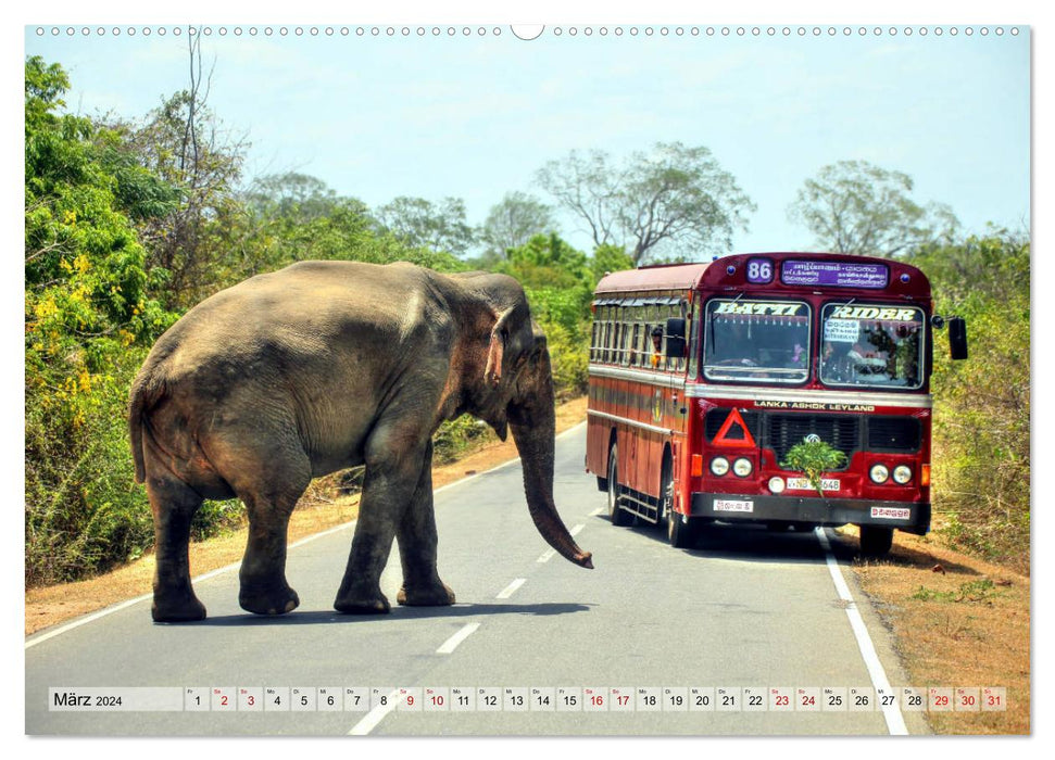 Sri Lanka - Tempel, Tee und Elefanten (CALVENDO Premium Wandkalender 2024)