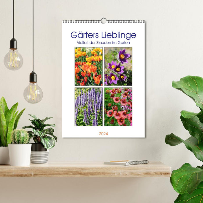 Coups de coeur du jardinier - variété de plantes vivaces au jardin (Calendrier mural CALVENDO 2024) 