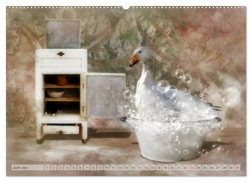 Vögel, Viecher und Fraktale (CALVENDO Premium Wandkalender 2024)