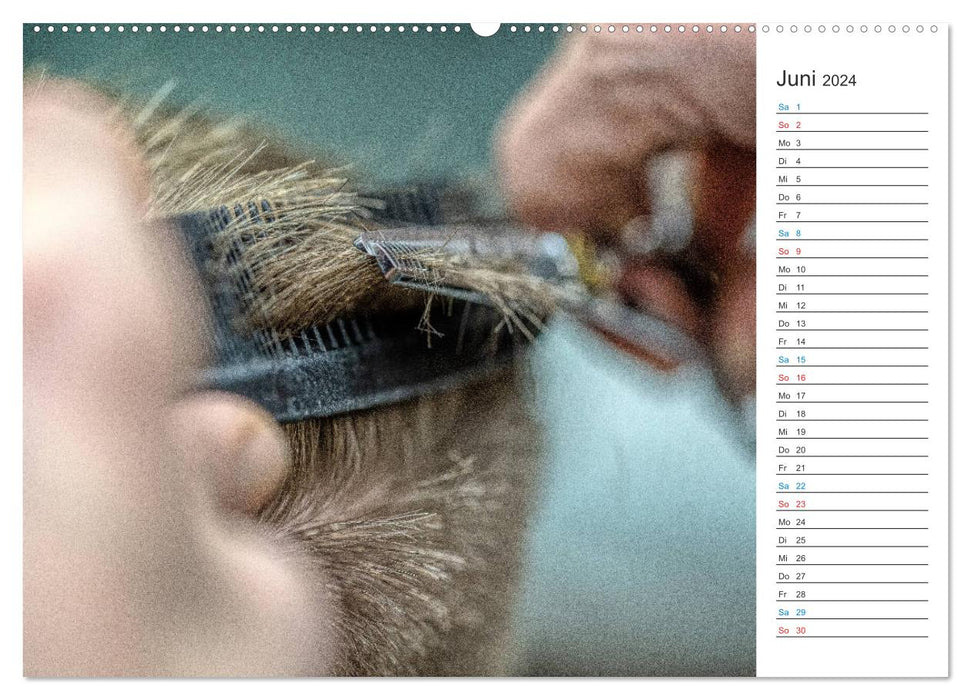 Unterwegs beim Friseur (CALVENDO Premium Wandkalender 2024)