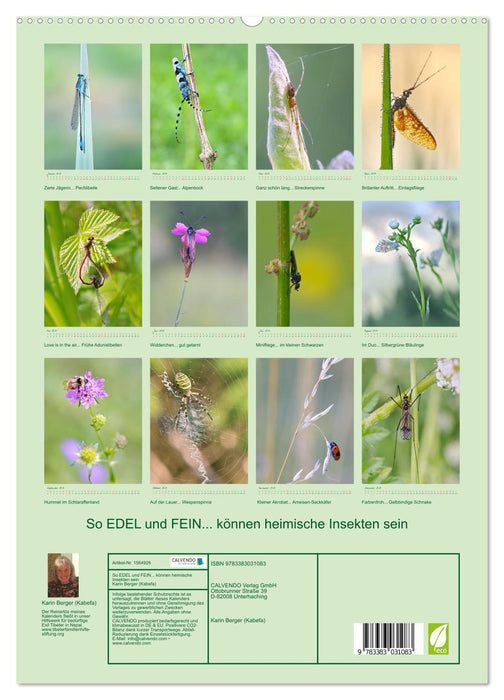 So EDEL und FEIN... können heimische Insekten sein (CALVENDO Premium Wandkalender 2024)