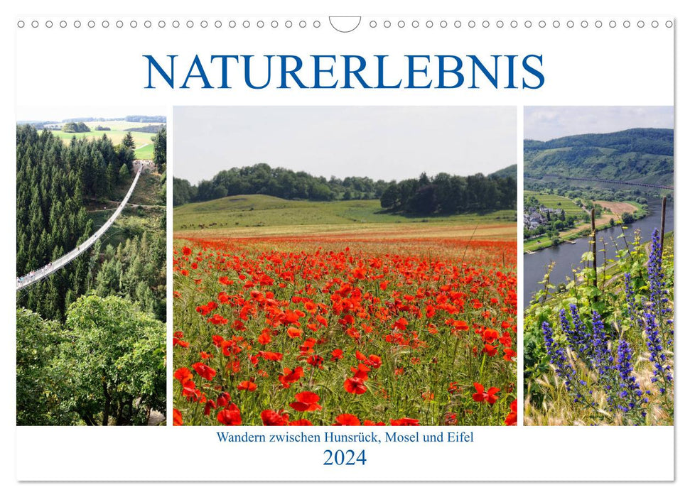 Naturerlebnis - Wandern zwischen Hunsrück, Mosel und Eifel (CALVENDO Wandkalender 2024)