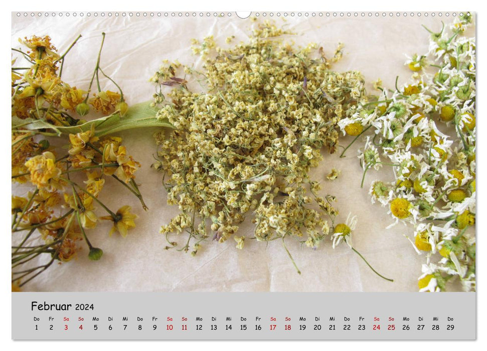 Meine Küche – Wildkräuter und Wildfrüchte (CALVENDO Wandkalender 2024)