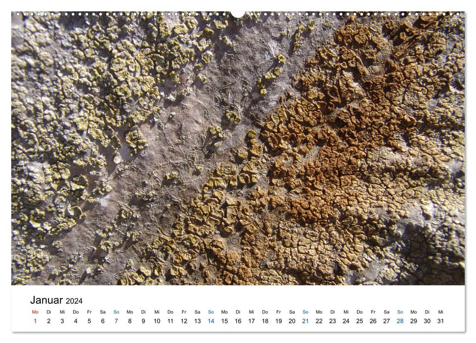 Spuren im Sand (CALVENDO Premium Wandkalender 2024)