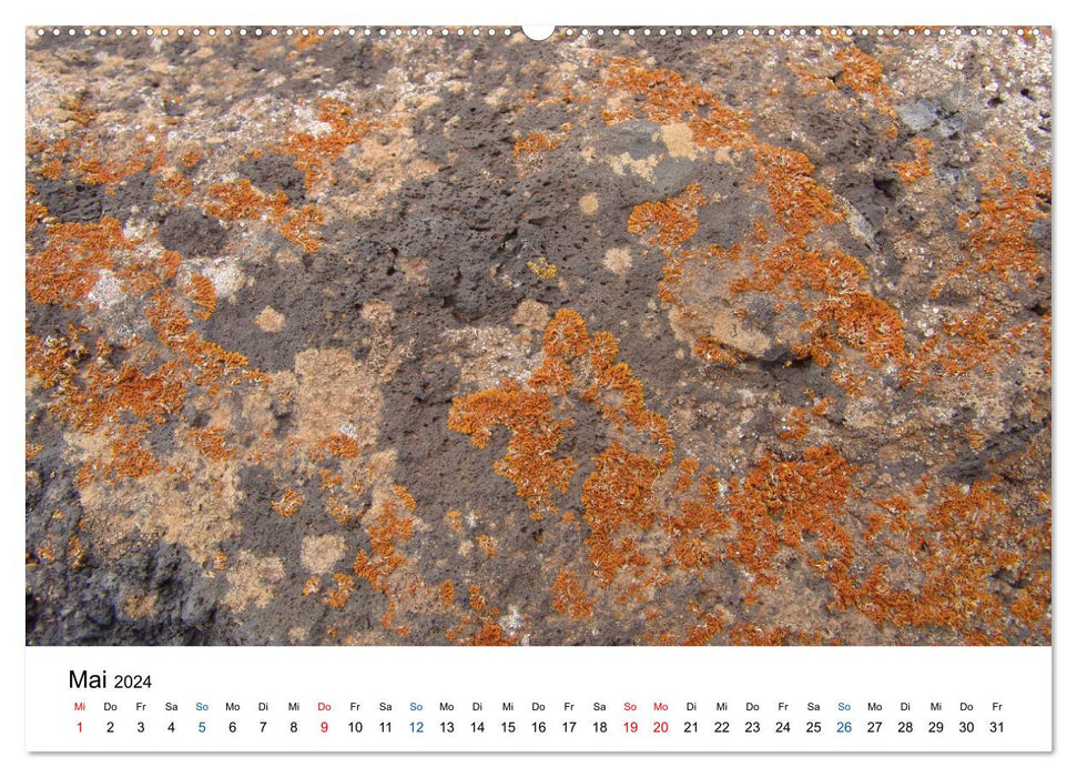 Spuren im Sand (CALVENDO Premium Wandkalender 2024)