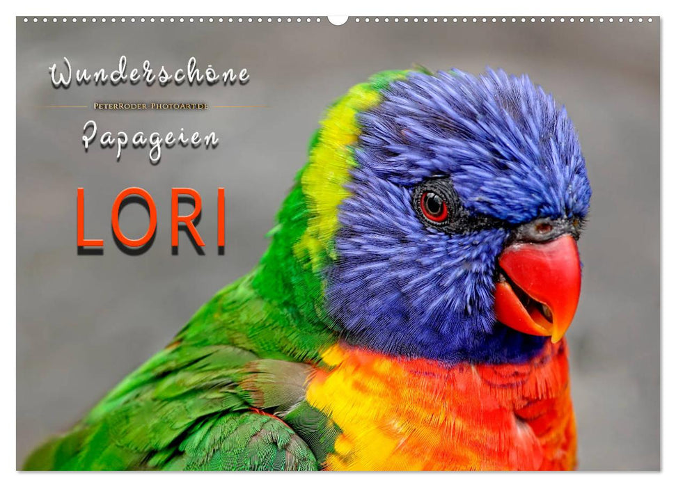 Wunderschöne Papageien - Lori (CALVENDO Wandkalender 2024)