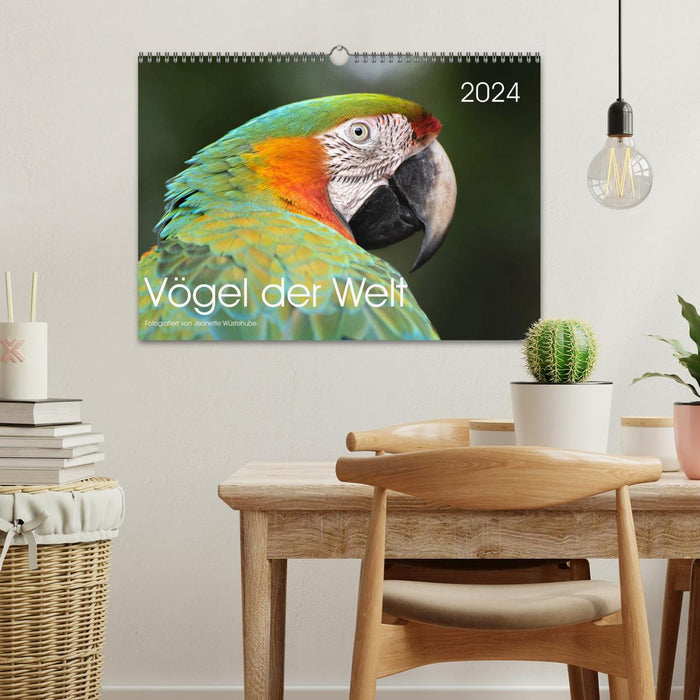 Vögel der Welt (CALVENDO Wandkalender 2024)