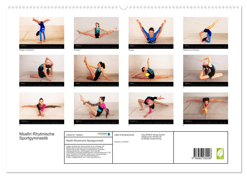 Rhythmische Sportgymnastik (CALVENDO Premium Wandkalender 2024)