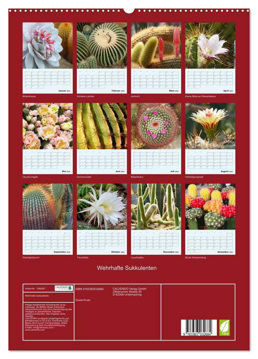 Plantes succulentes défensives (Calendrier mural CALVENDO Premium 2024) 