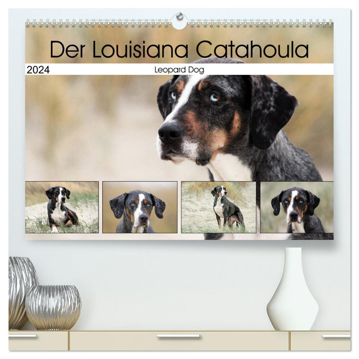 Der Louisiana Catahoula Leopard Dog (CALVENDO Premium Wandkalender 2024)