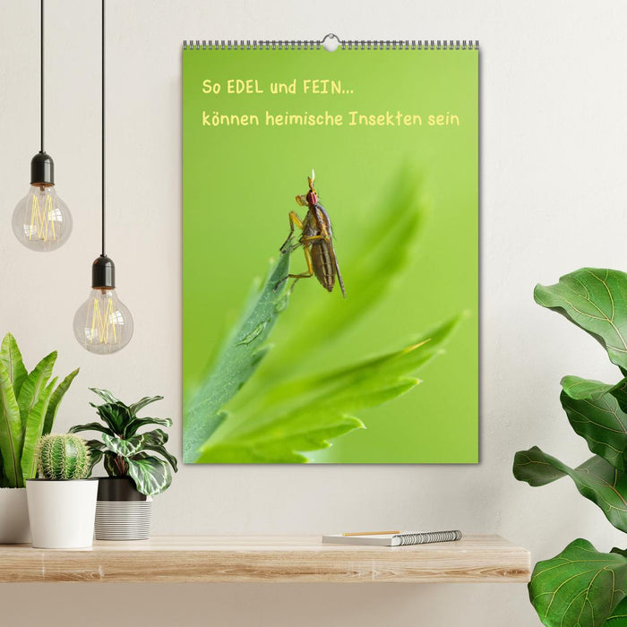 So EDEL und FEIN... können heimische Insekten sein (CALVENDO Wandkalender 2024)