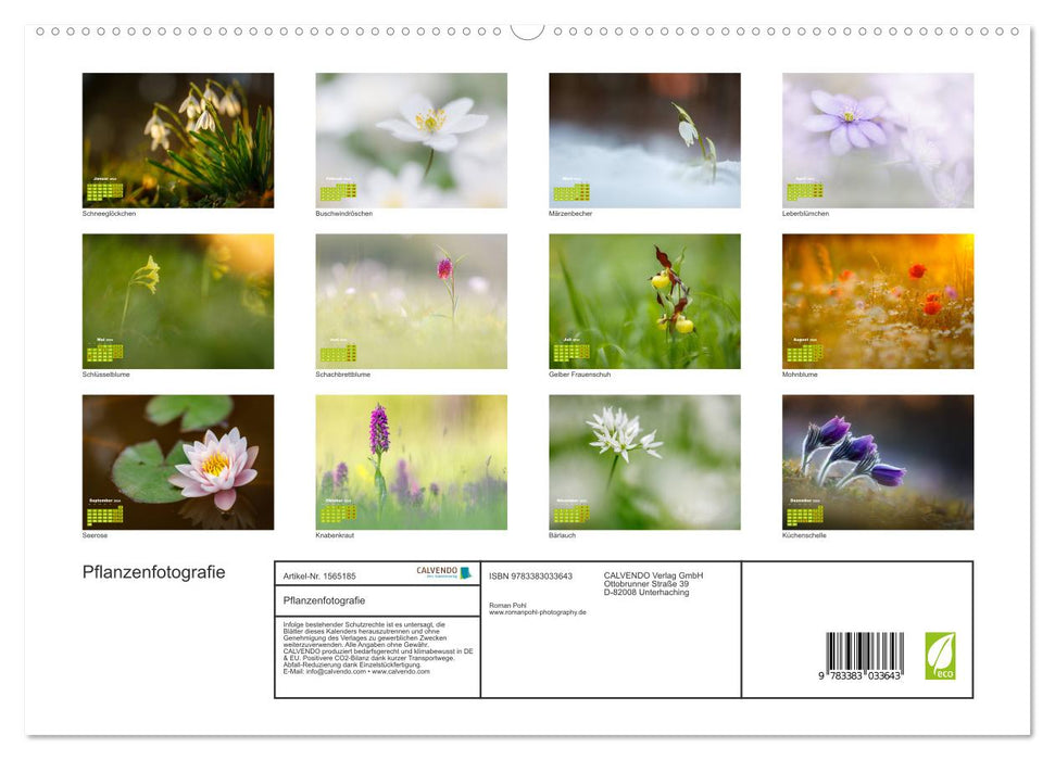 Pflanzenfotografie - Ein blütenreiches Jahr (CALVENDO Premium Wandkalender 2024)