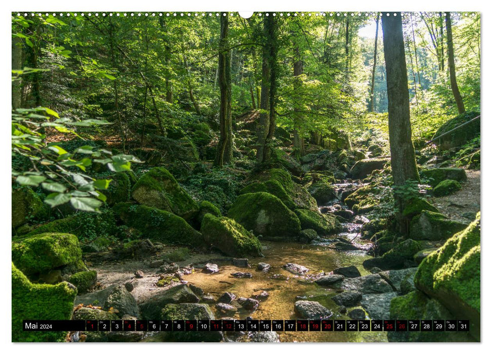 Urlaubsregion Schwarzwald (CALVENDO Wandkalender 2024)