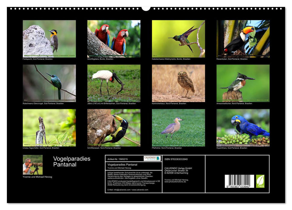 Vogelparadies Pantanal (CALVENDO Premium Wandkalender 2024)