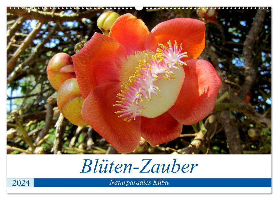 Blüten-Zauber - Naturparadies Kuba (CALVENDO Wandkalender 2024)