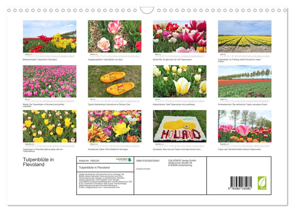 Tulpenblüte in Flevoland 2024 (CALVENDO Wandkalender 2024)