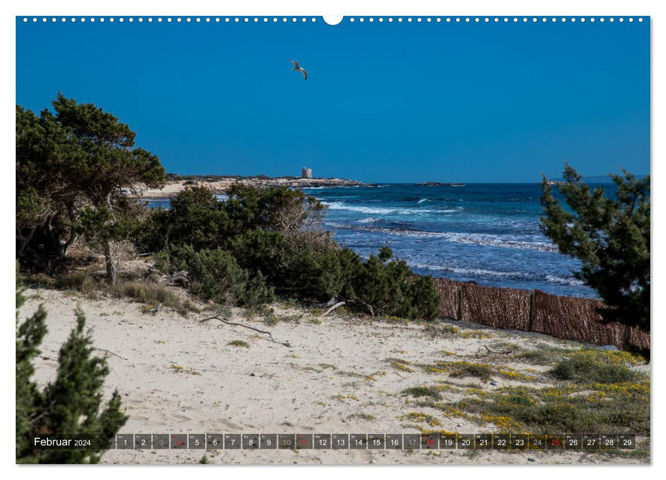 Ibiza Küste, Buchten und Strände (CALVENDO Wandkalender 2024)