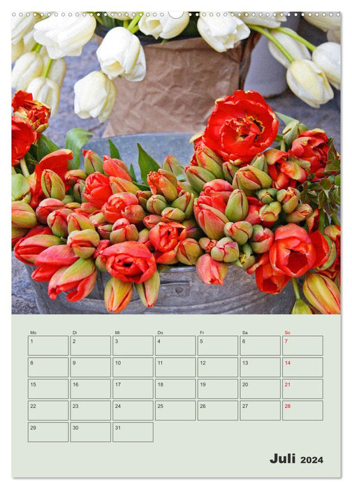 Monde merveilleux des tulipes (Calendrier mural CALVENDO Premium 2024) 