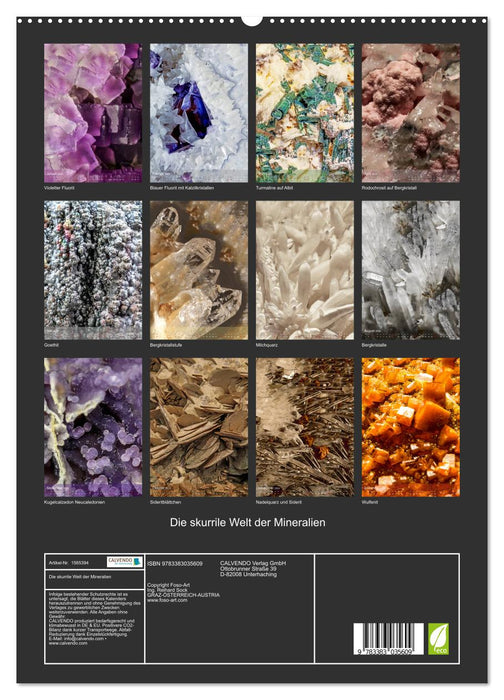 Le monde bizarre des minéraux (Calendrier mural CALVENDO Premium 2024) 