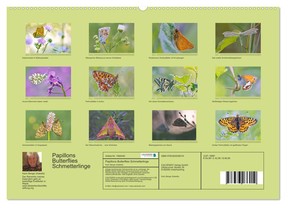 Papillons-Butterflies-Schmetterlinge (CALVENDO Wandkalender 2024)