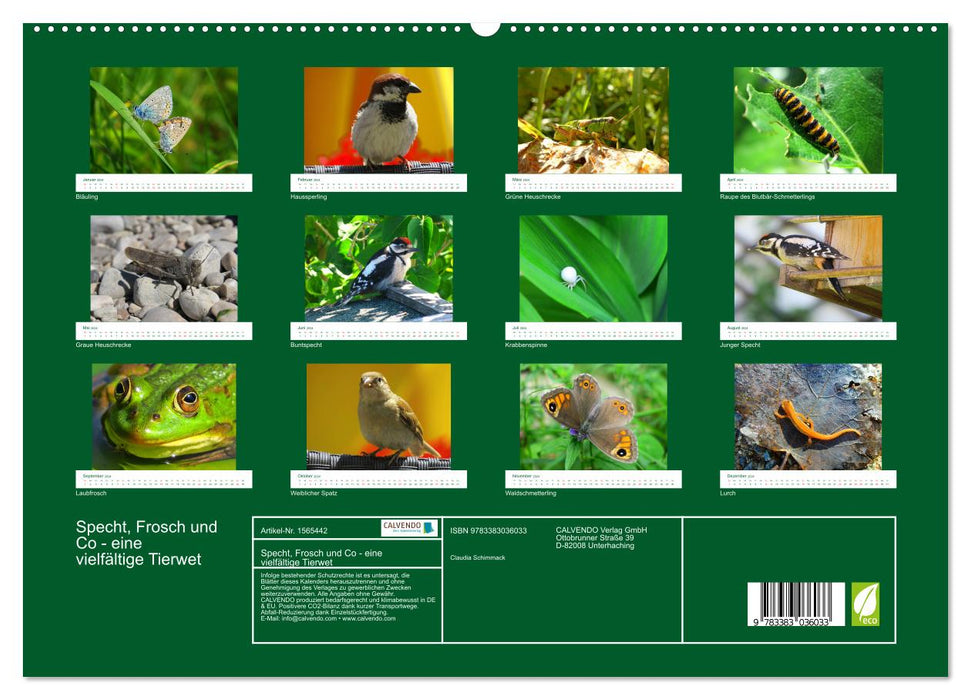 Specht, Frosch und Co - eine vielfältige Tierwelt (CALVENDO Premium Wandkalender 2024)