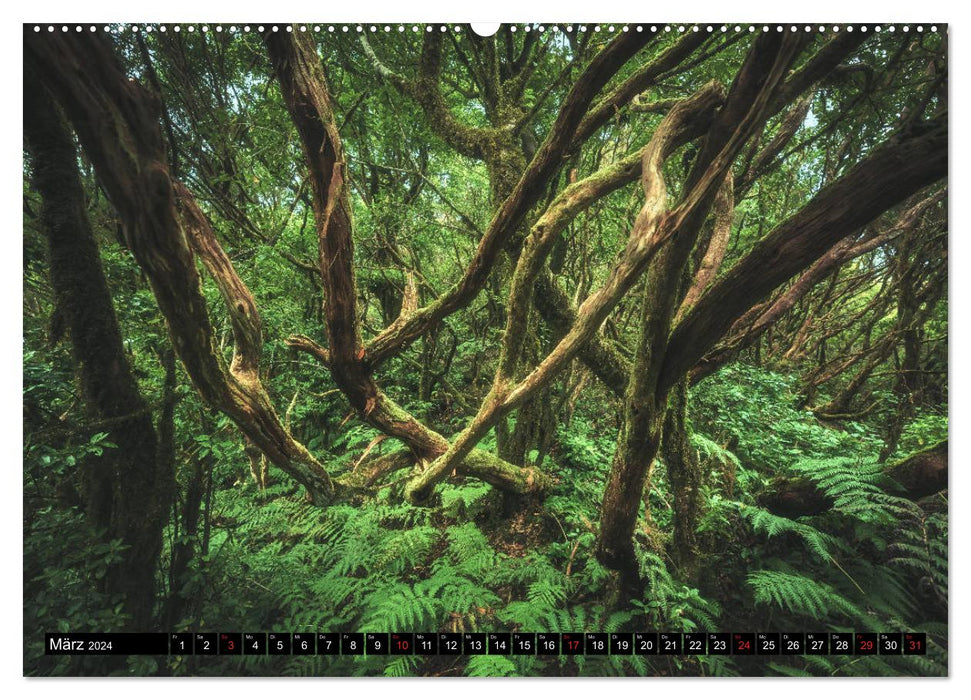 TENERIFE - LA PUISSANCE DE LA NATURE EN GROS PLAN (Calvendo Premium Wall Calendar 2024) 