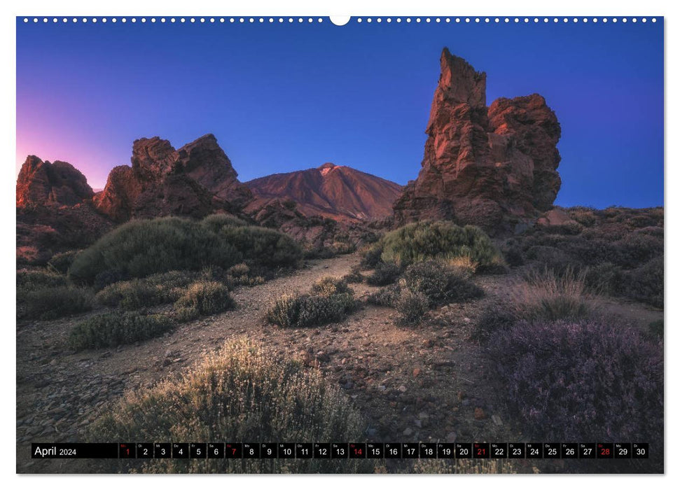 TENERIFE - LA PUISSANCE DE LA NATURE EN GROS PLAN (Calvendo Premium Wall Calendar 2024) 