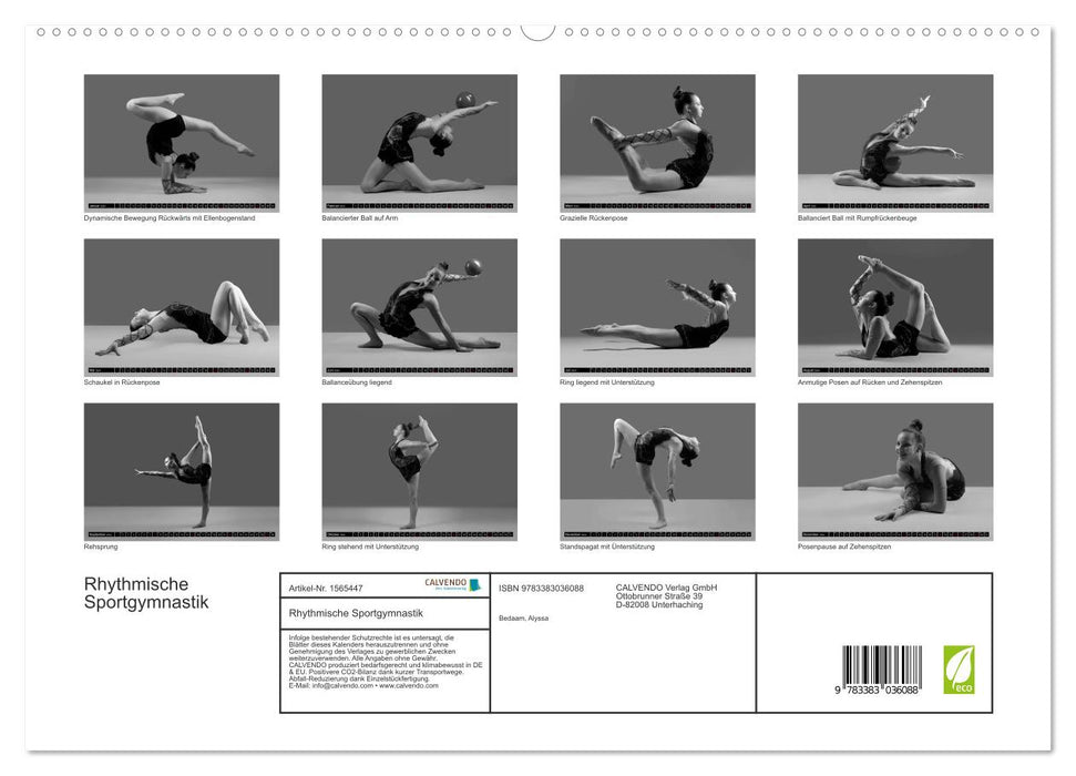 Gymnastique rythmique - Alyssa (Calvendo Premium Wall Calendar 2024) 
