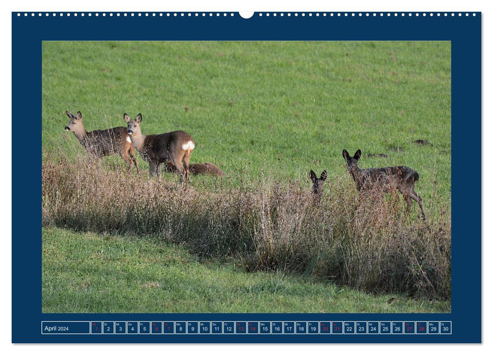 Saisons à Brême Blockland (Calvendo Premium Wall Calendar 2024) 