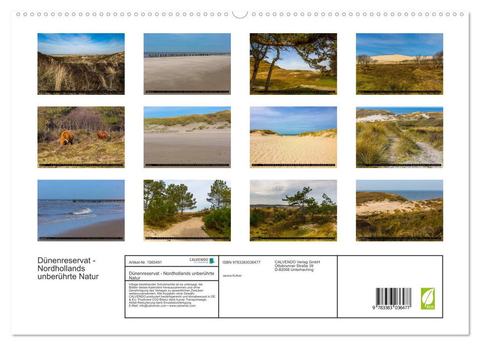 Réserve de dunes - La nature intacte de la Hollande du Nord (Calendrier mural CALVENDO Premium 2024) 