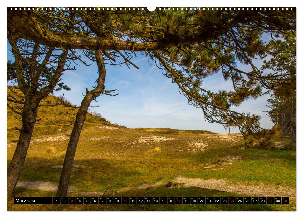 Dünenreservat - Nordhollands unberührte Natur (CALVENDO Premium Wandkalender 2024)