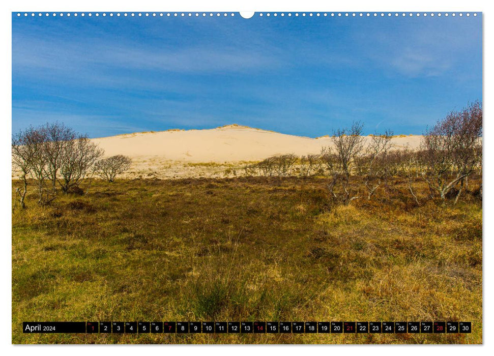 Réserve de dunes - La nature intacte de la Hollande du Nord (Calendrier mural CALVENDO Premium 2024) 