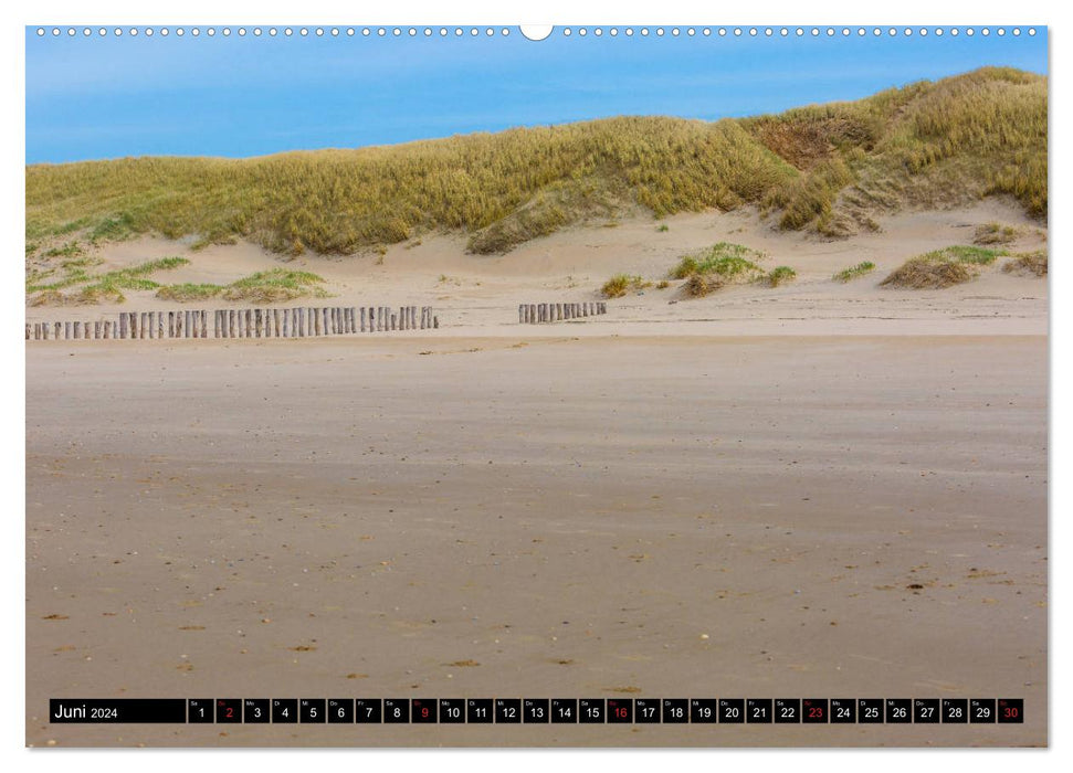 Réserve de dunes - La nature intacte de la Hollande du Nord (Calendrier mural CALVENDO Premium 2024) 