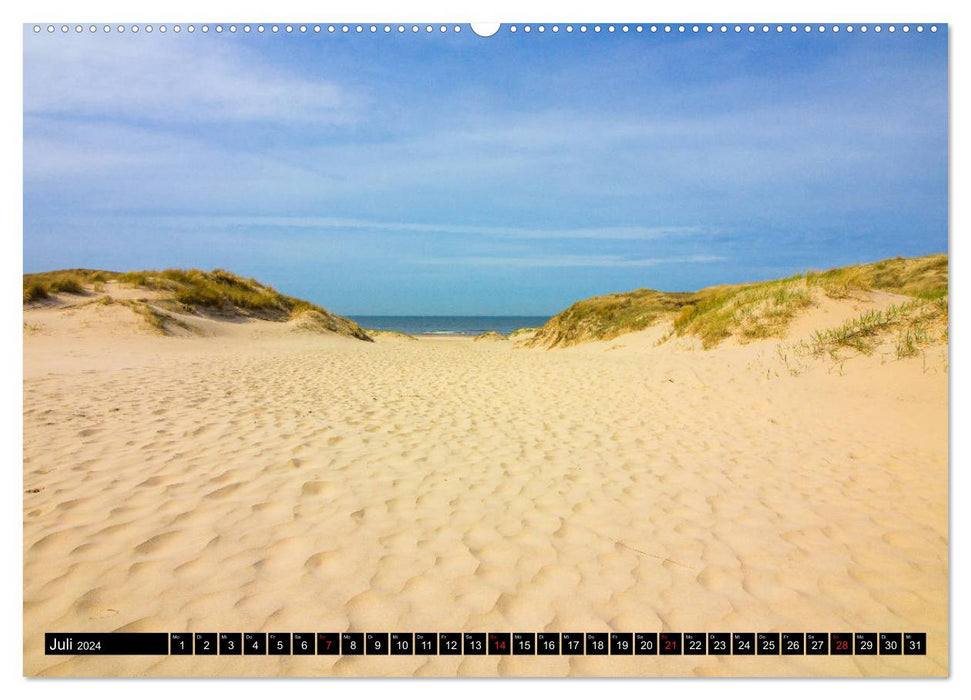 Dünenreservat - Nordhollands unberührte Natur (CALVENDO Premium Wandkalender 2024)