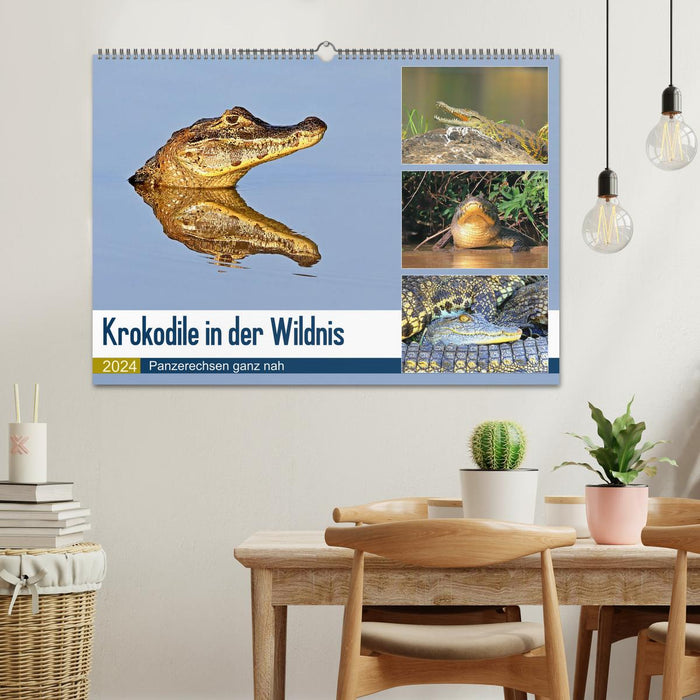 Crocodiles à l'état sauvage (Calendrier mural CALVENDO 2024) 