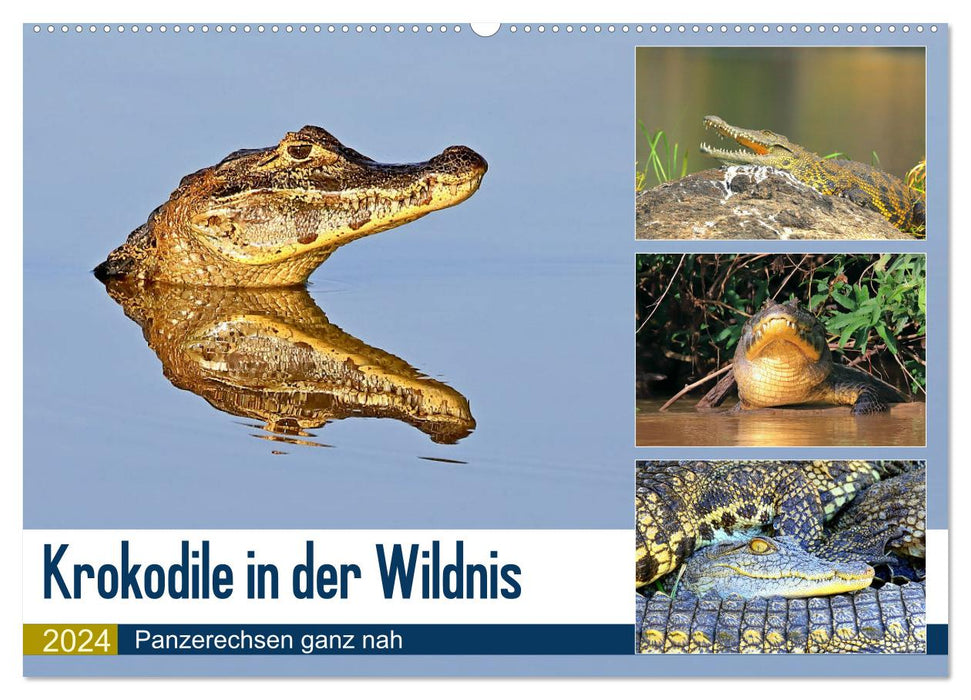 Krokodile in der Wildnis (CALVENDO Wandkalender 2024)